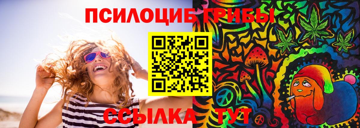 Псилоцибиновые грибы мицелий  Галлюциногенные грибы Psilocybine cubensis  Пенза  купить наркотик  Вход с VPN 